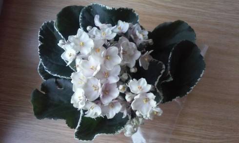 20150626_175709.jpg