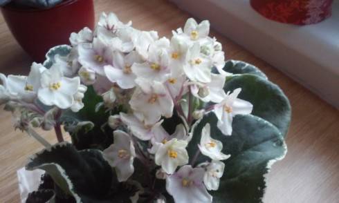 20150626_192930.jpg