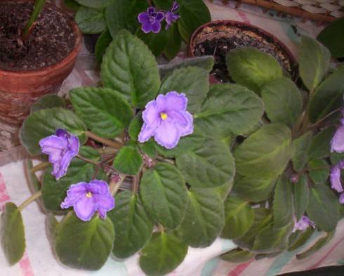 000_2430_2.JPG