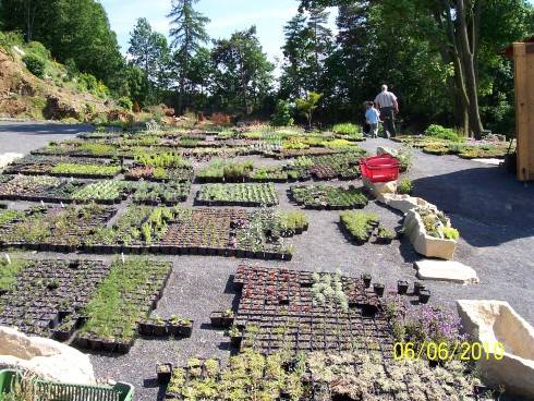arboretum Paseka 069.jpg