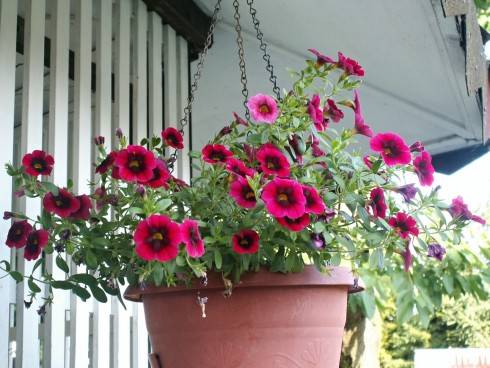 PICT0025.JPG