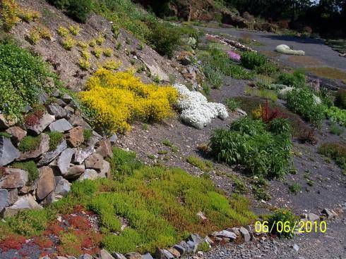 arboretum Paseka 066.jpg