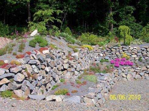 arboretum Paseka 036.jpg
