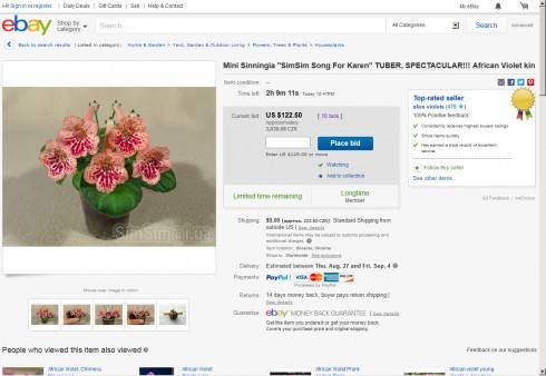 eBay - SimSim Song for Karen.jpg