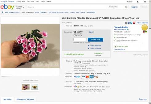 eBay - SimSim Hummingbird.jpg