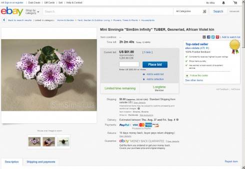 eBay - SimSim Infinity.jpg