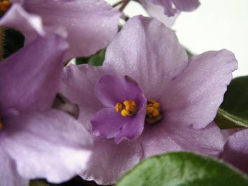 PICT0131.JPG