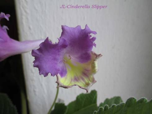 JL-Cinderella Slipper.jpg