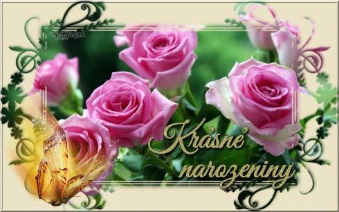 narozky8zr_zps096907f1.jpg