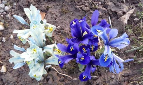 20170321_172745.jpg