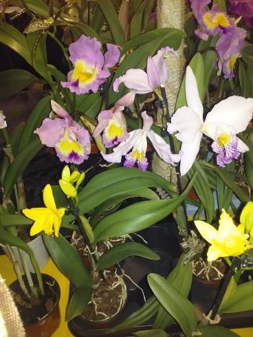 20170323_103034.jpg