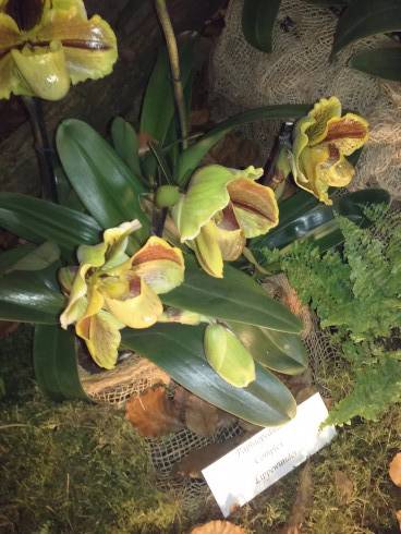 20170323_103549.jpg