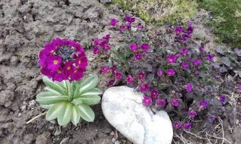 20170329_170240.jpg
