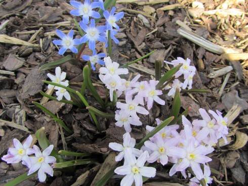 IMG_5368.JPG