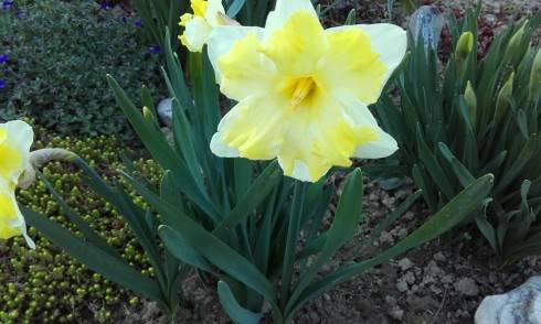 20170402_170042.jpg