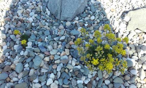 20170402_095536.jpg