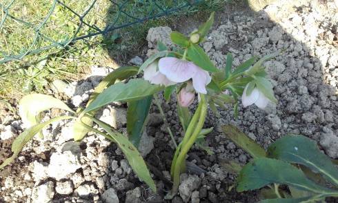 20170402_095436.jpg