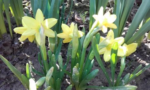 20170402_095304.jpg
