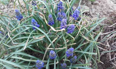 20170404_175428.jpg