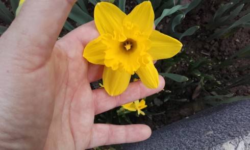 20170404_175303.jpg