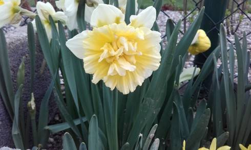 20170404_175228.jpg