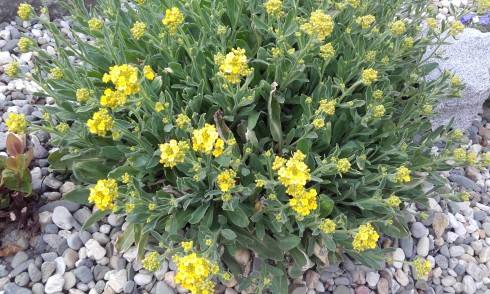20170404_175200.jpg