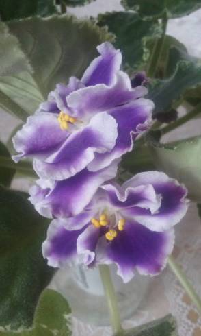 20170320_105630.jpg