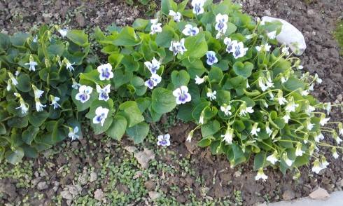 20170409_183929.jpg