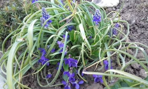 20170409_184020.jpg
