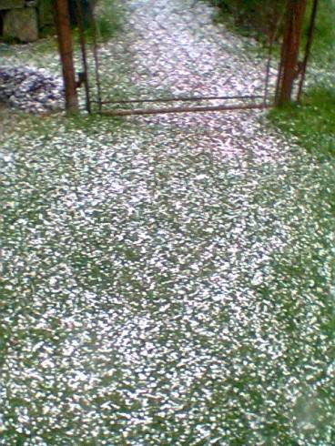 Foto_0378.jpg