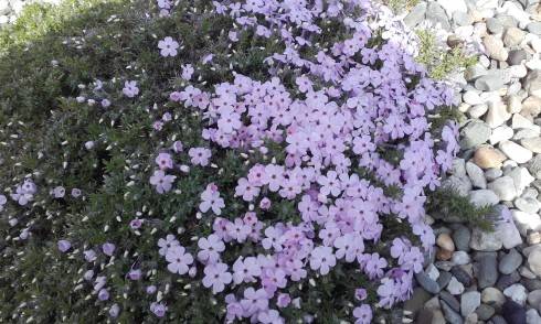 20170421_155546.jpg