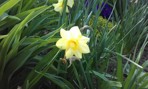 20170421_155259.jpg