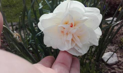 20170430_083329.jpg