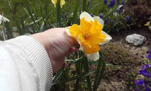 20170430_083340.jpg