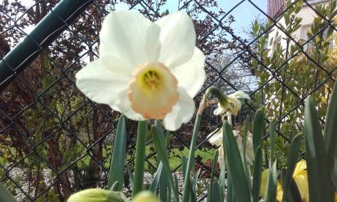 20170430_083519.jpg