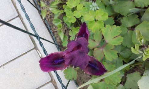 20170508_164536.jpg