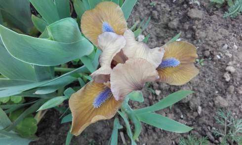 20170508_164526.jpg