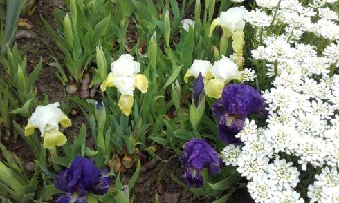 20170506_105338.jpg