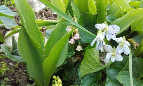 20170506_105315.jpg