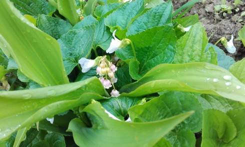 20170506_105323.jpg