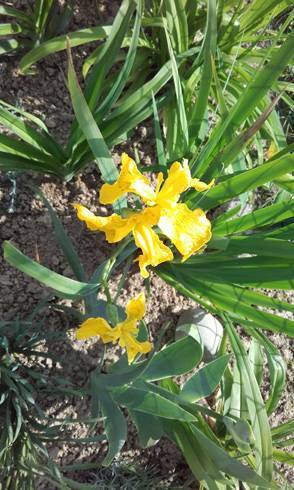 20170524_161249.jpg