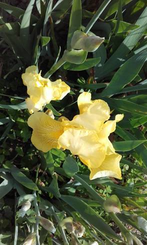 20170524_161211.jpg