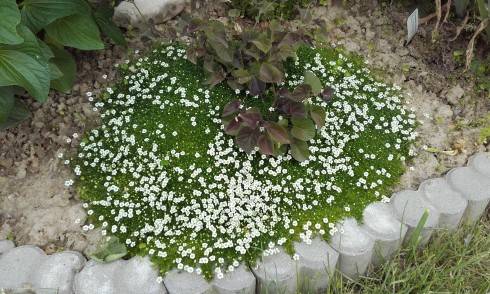 20170604_145749.jpg