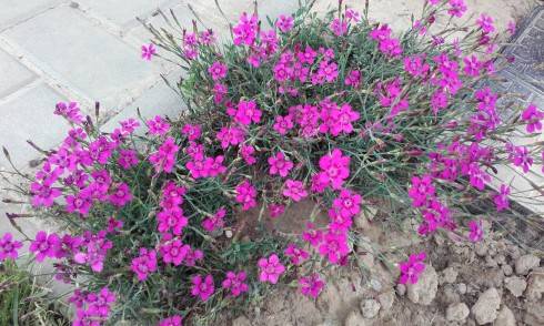 20170604_145732.jpg