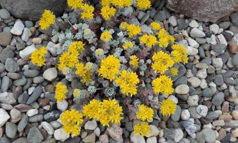 20170604_145655.jpg