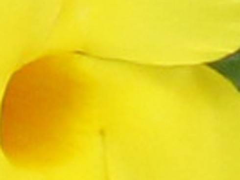 IMG_4044_3.jpg