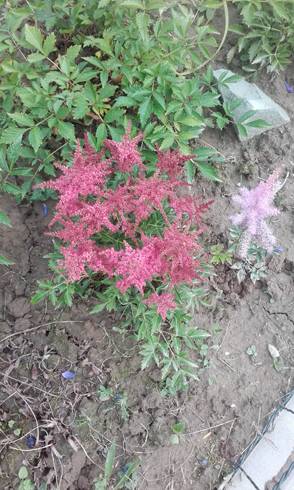 20170629_065348.jpg