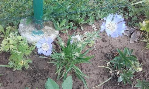20170629_065419.jpg