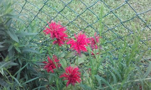 20170629_065538.jpg