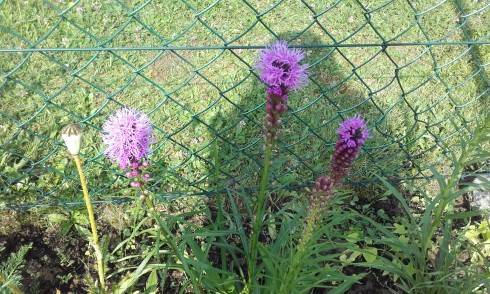 20170706_091118.jpg